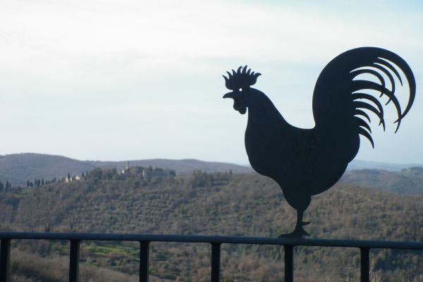Villa Sant'Uberto Country Inn (Radda in Chianti)